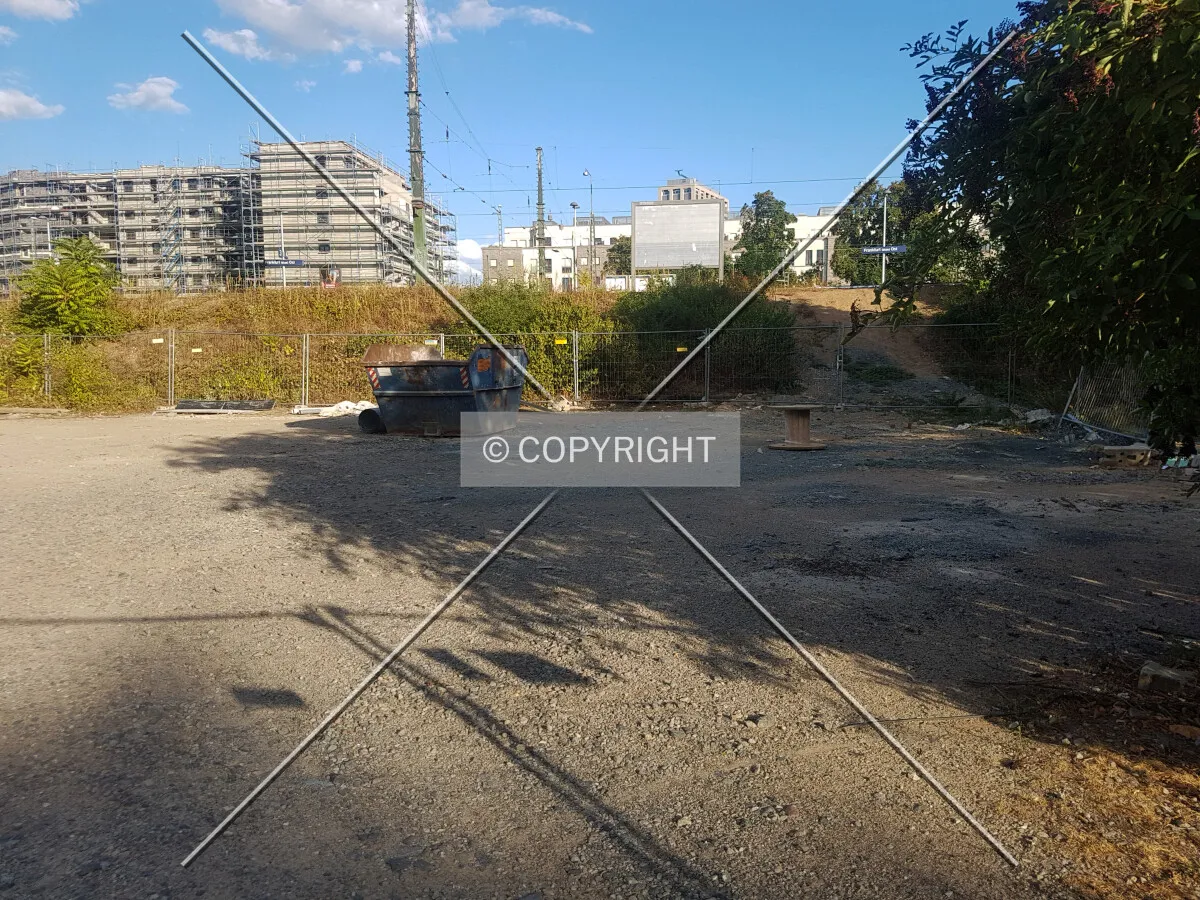 Photo 097-741-645