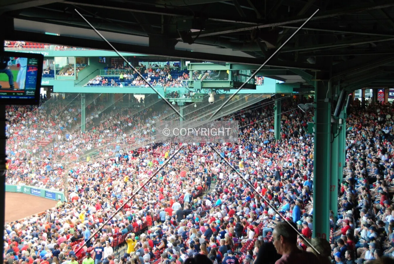 Packed stands