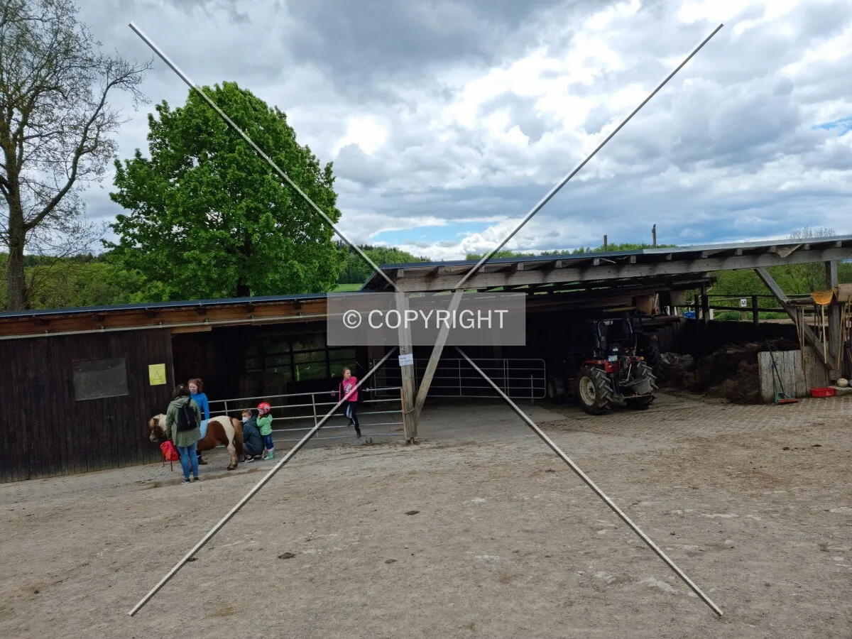 Photo 097-795-691