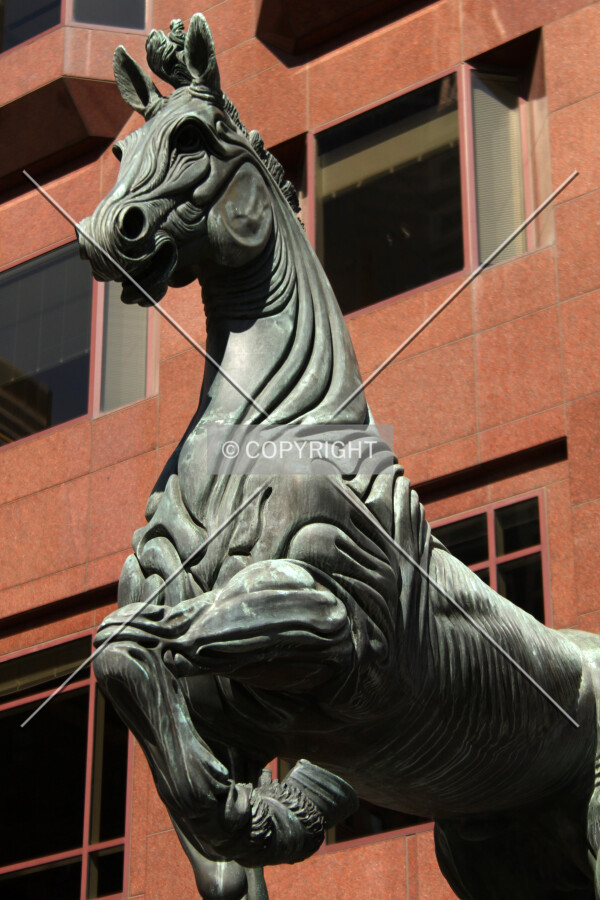 Photo 097-878-607