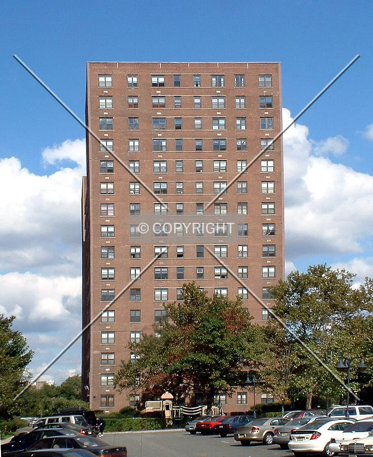 View from the south