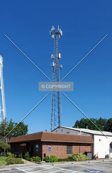 Photo 979-204-897