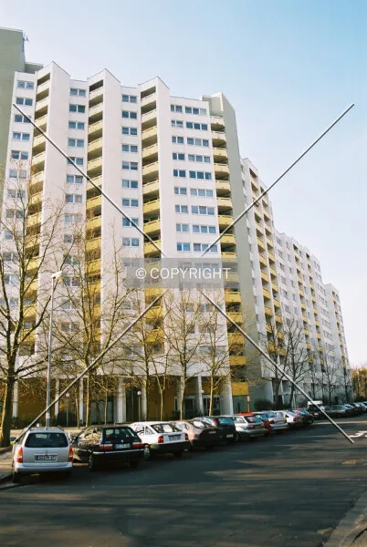 Photo 979-987-868