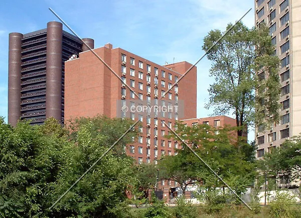 View from the southwest