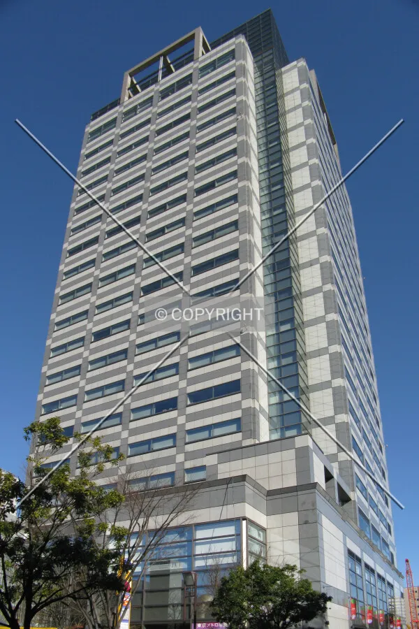 View from the southwest