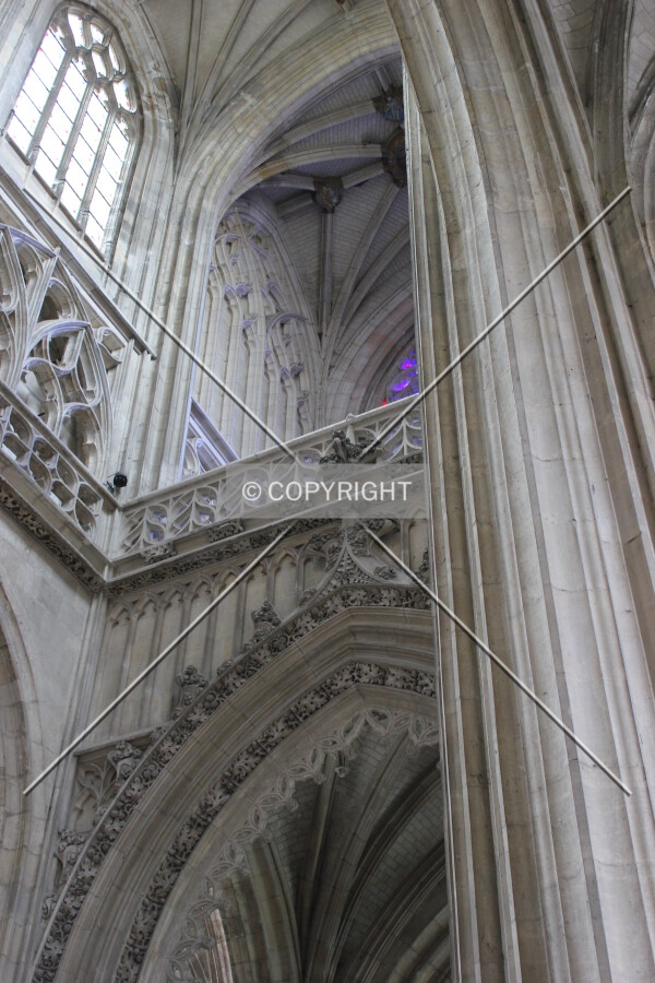 Photo 980-742-302