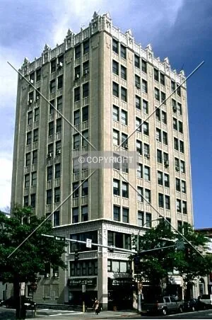 Photo 981-166-669