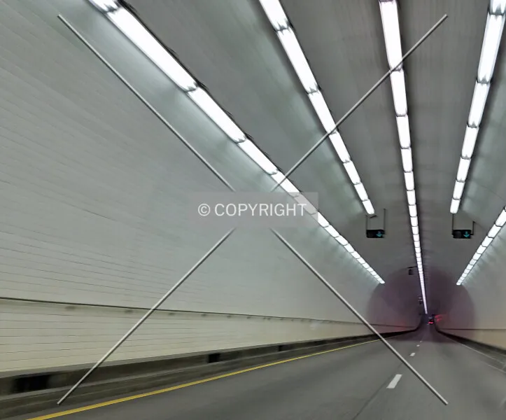 Photo 981-220-237
