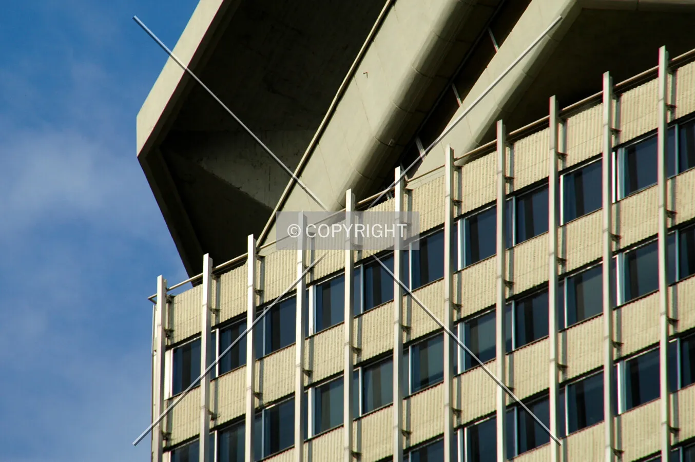 Photo 981-343-764