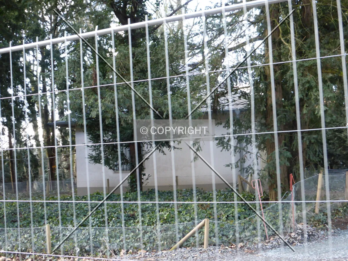 Photo 098-152-415
