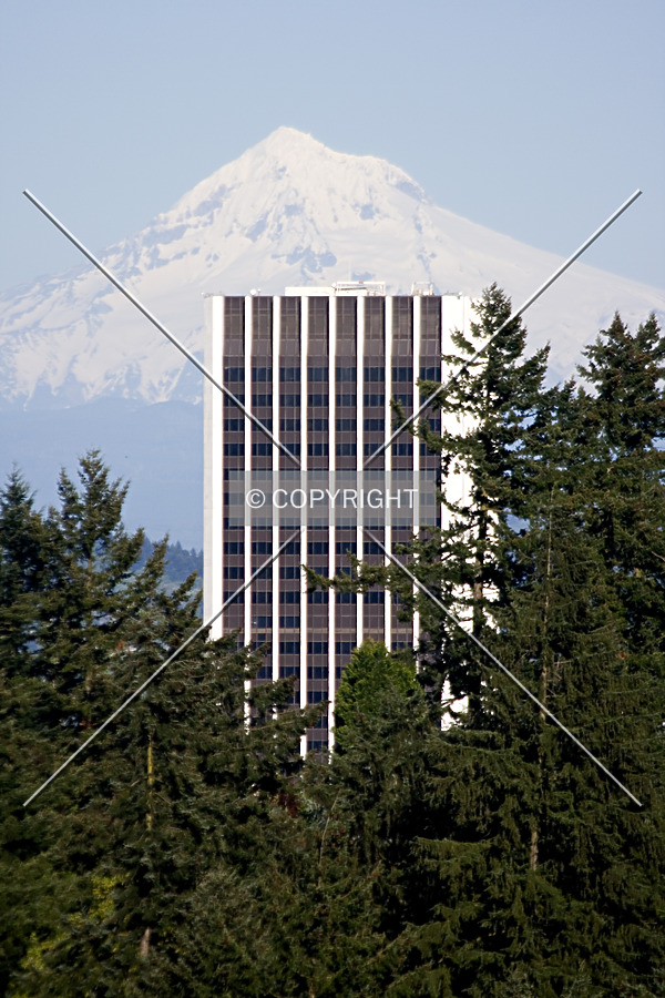 As seen from Washington Park