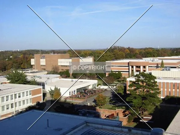 Looking southeast towards McEniry and Friday Halls from the seventh floor of the Atkins Library