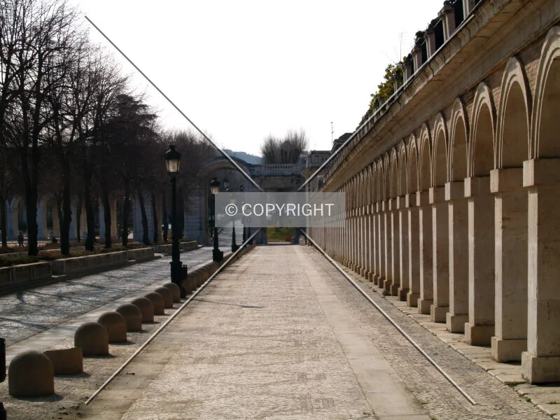 Photo 982-145-786