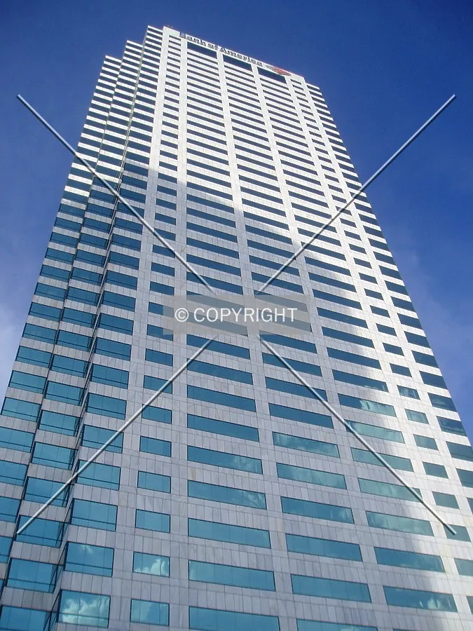 Looking up from the northwest