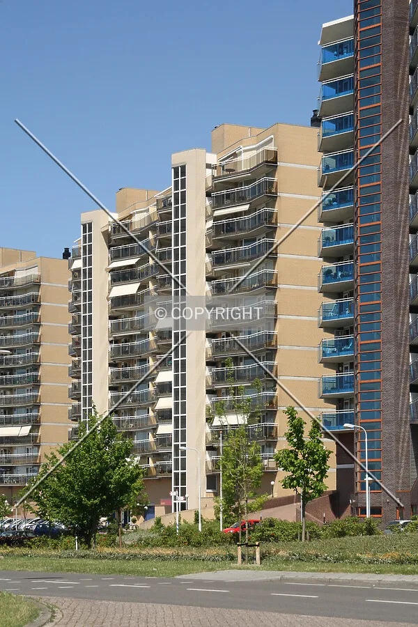View from the southeast