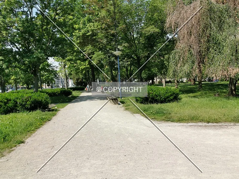 Photo 098-237-882