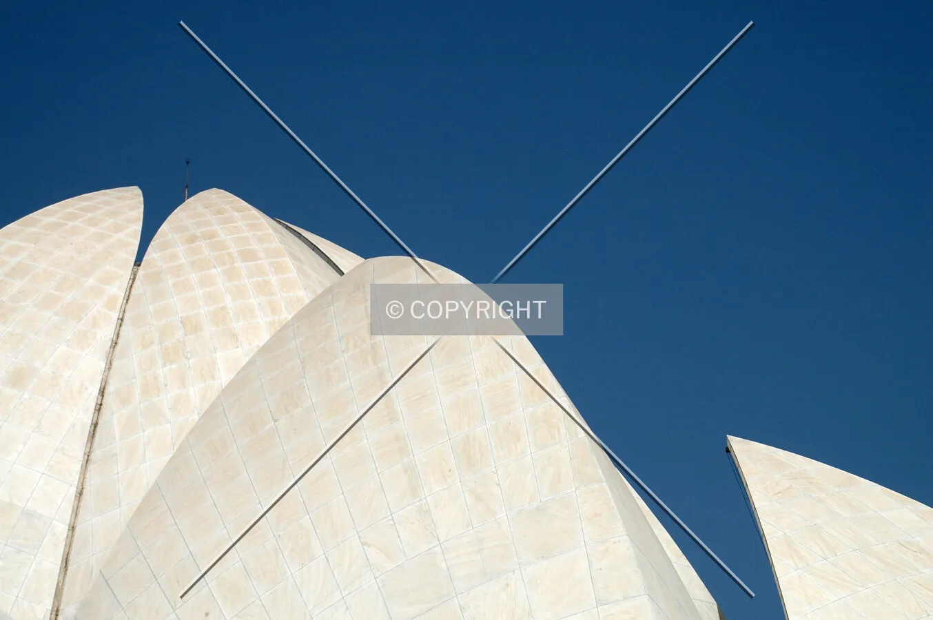 Photo 982-603-575
