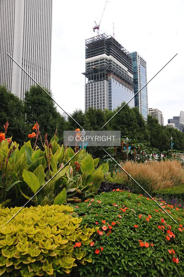 Looking northeast across Millennium Park