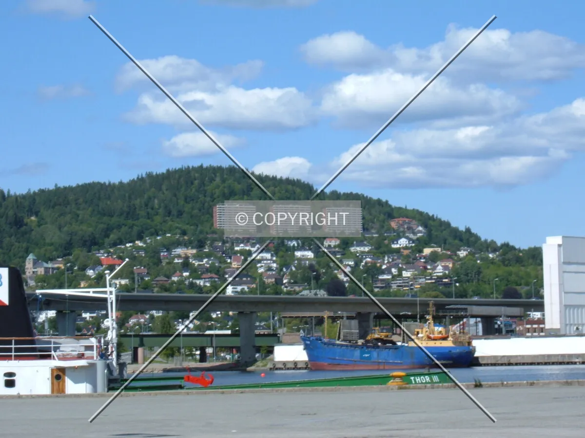 View from Strømsø
