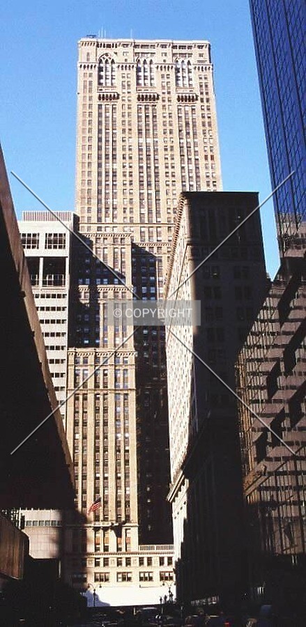 View to the south
