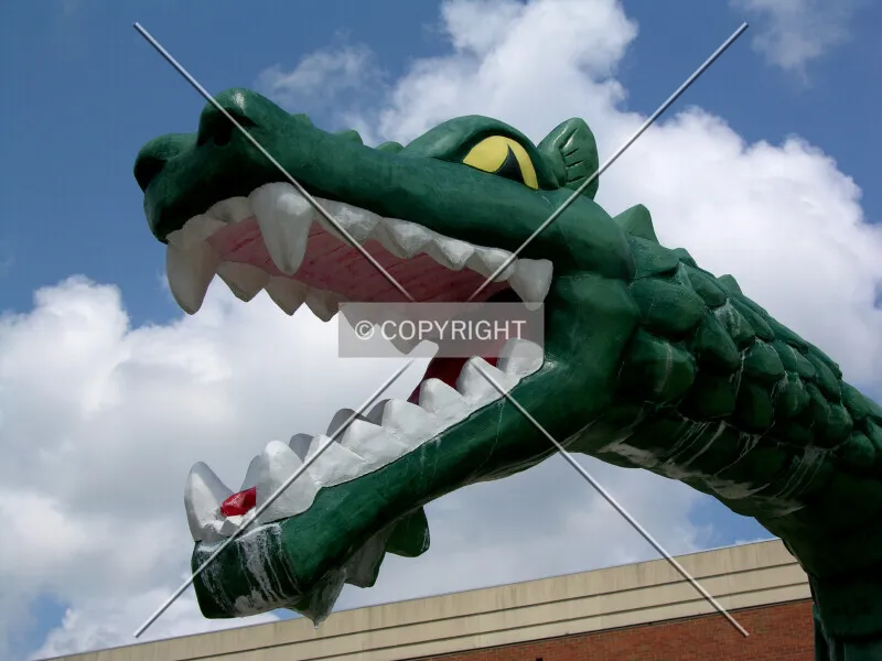Photo 098-305-406
