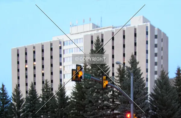 Looking northeast from East University Avenue at dusk