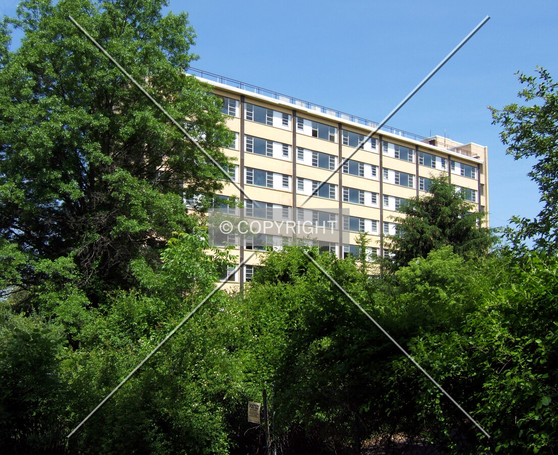 View from the southeast