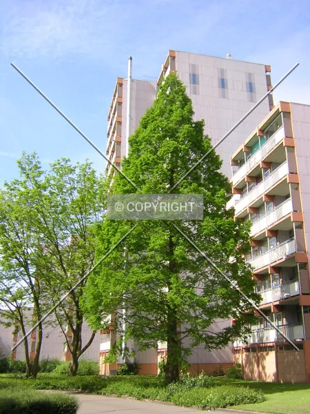 Photo 098-360-748