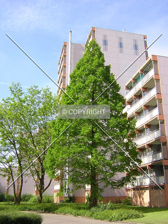 Photo 098-360-748
