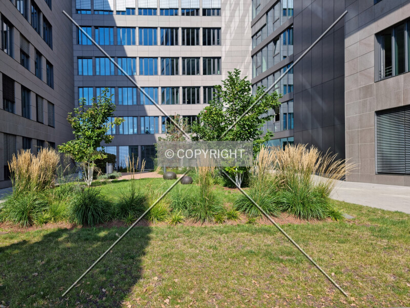 Photo 983-735-872