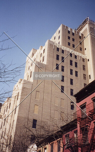 Photo 984-854-286