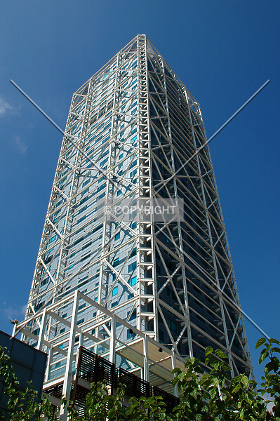 Photo 984-890-668