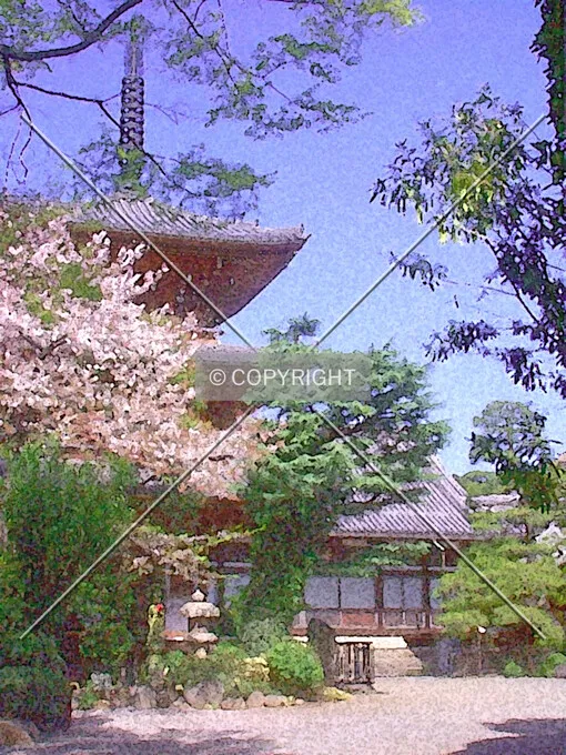 Photo 098-493-463