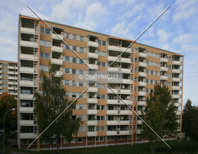 Photo 984-998-735