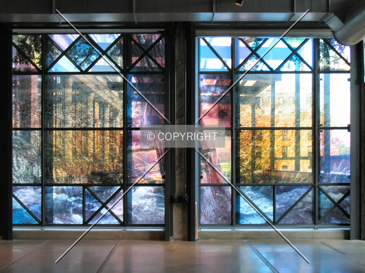 Large windows on west side