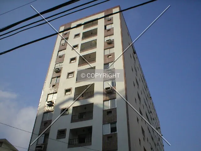 Photo 985-246-947