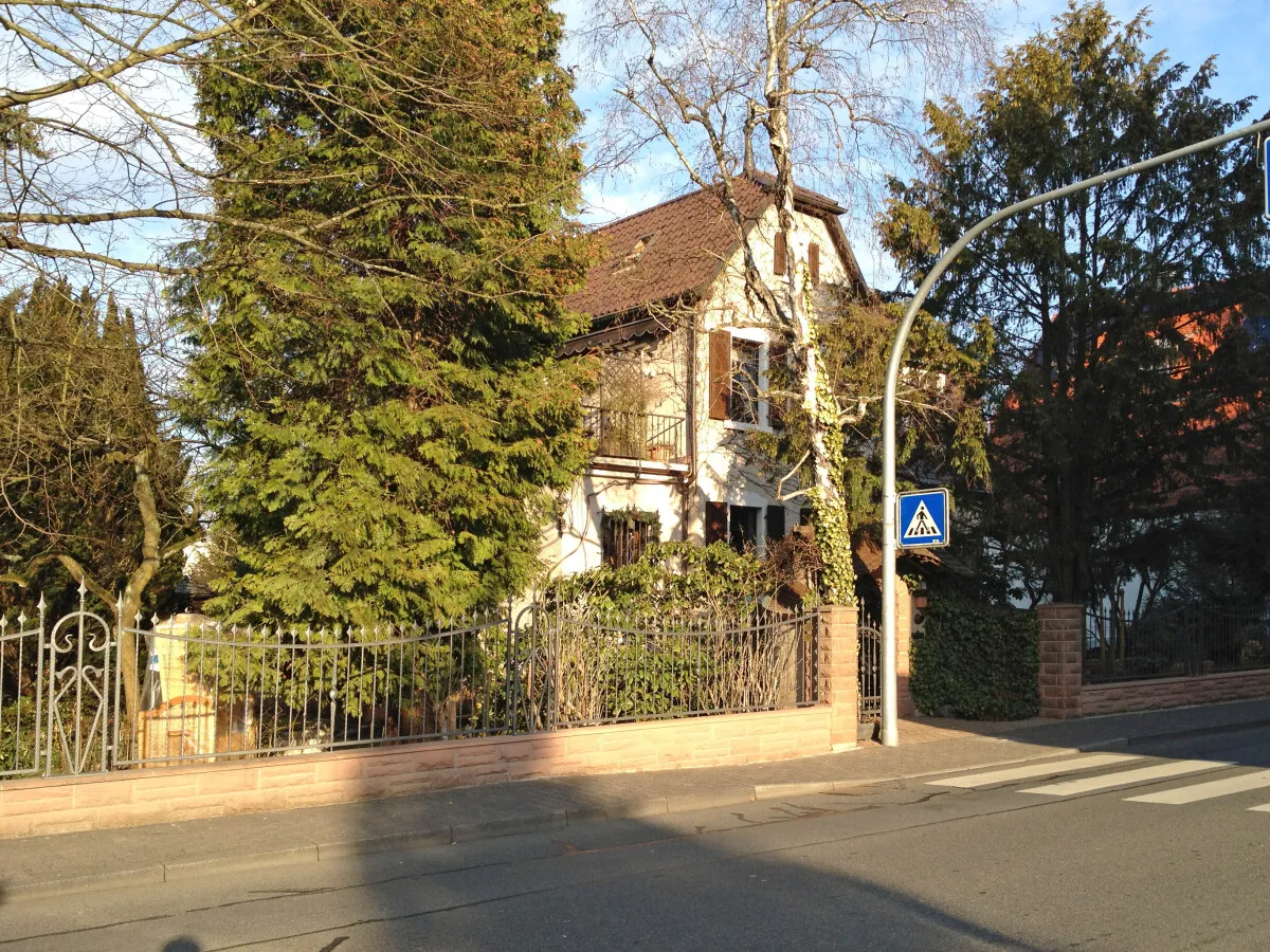 Photo 986-185-834