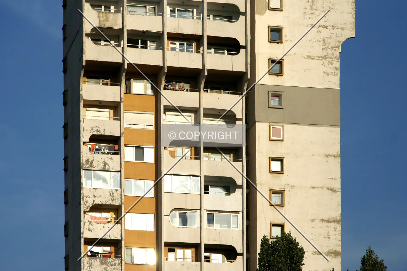 Photo 986-208-594