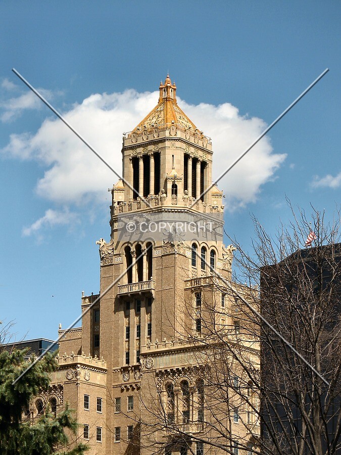 Distinctive top from the southwest