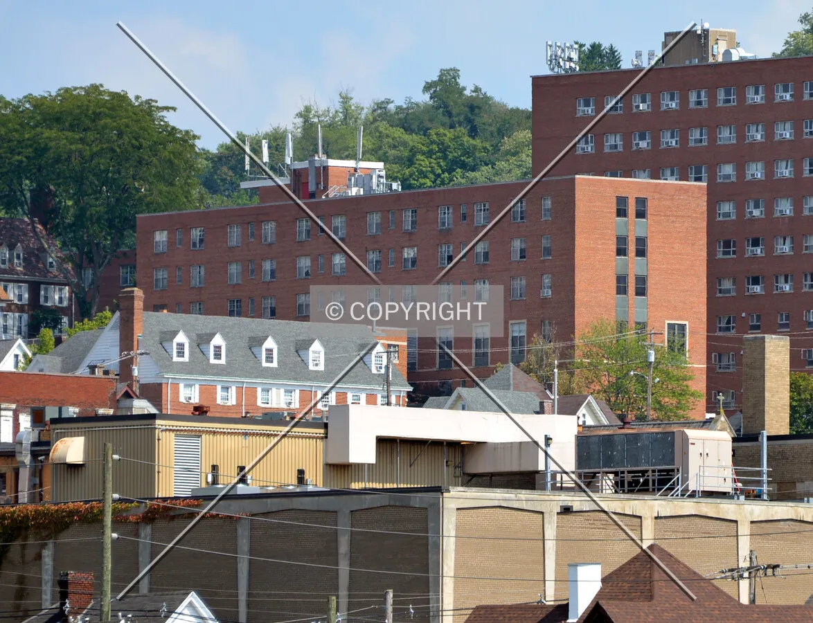 View from the southwest