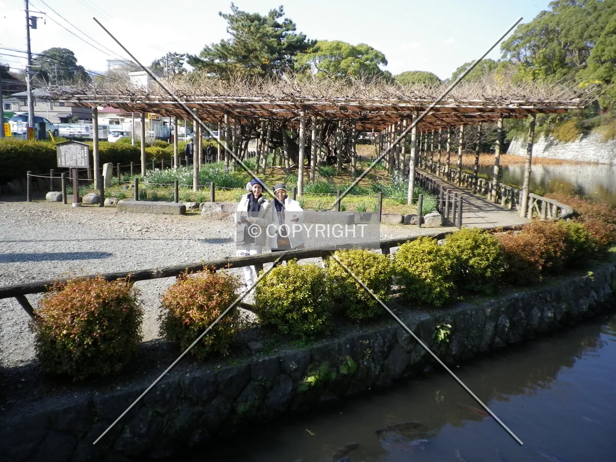 Photo 986-937-333