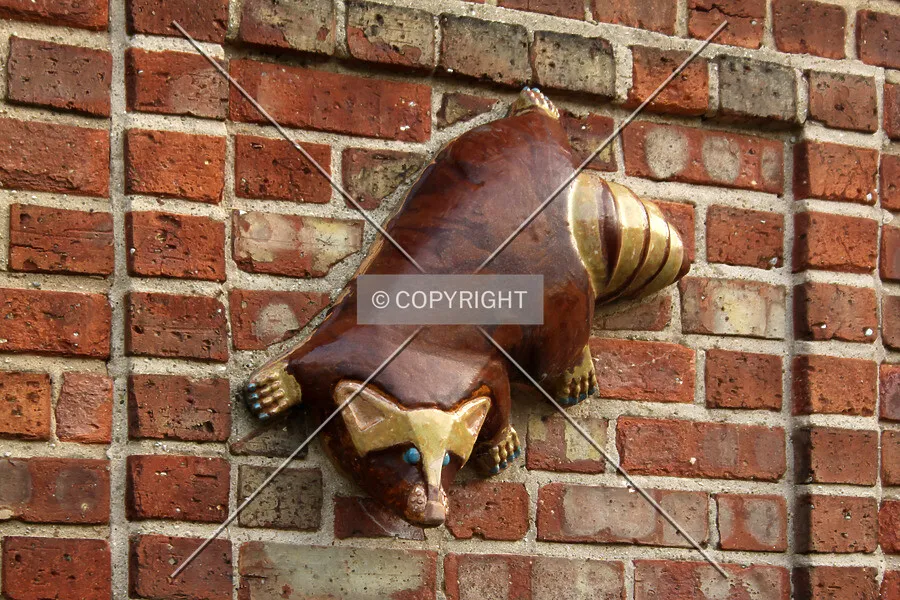 Photo 098-700-972
