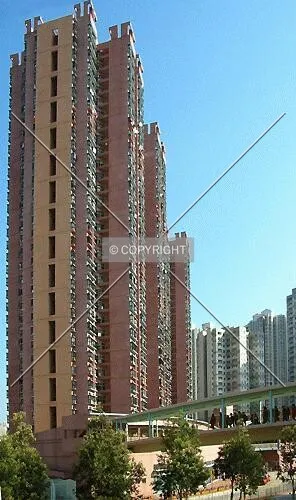From Tsing King Road