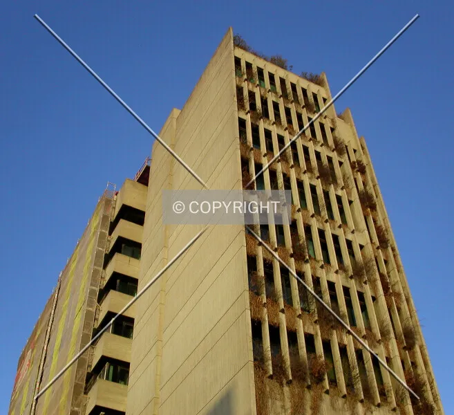 Photo 987-227-370