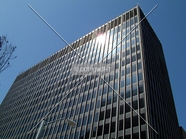 Photo 987-311-243