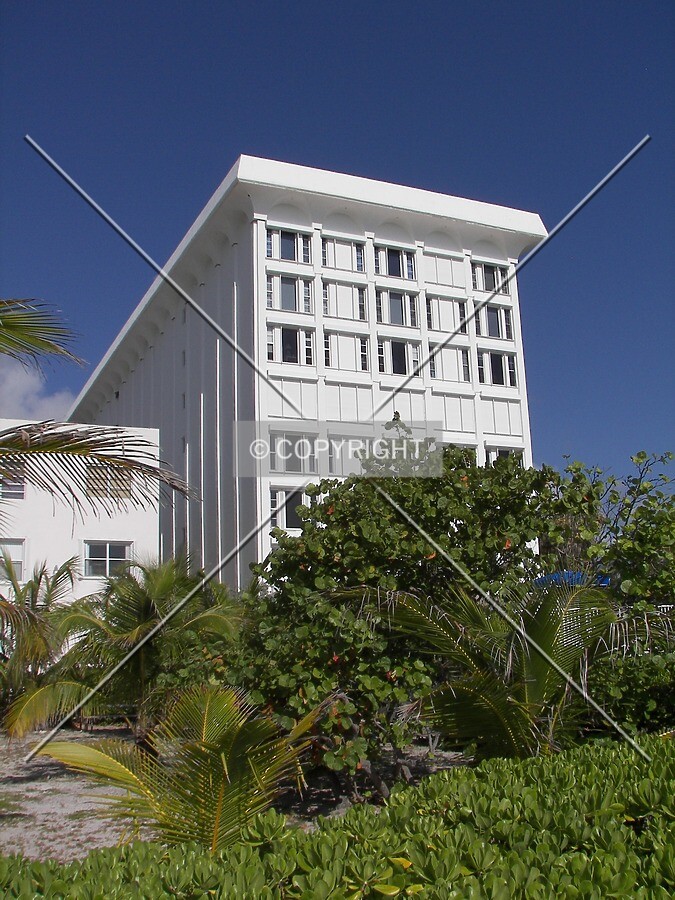View from the southeast