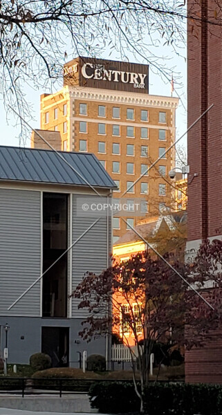 Photo 987-401-219