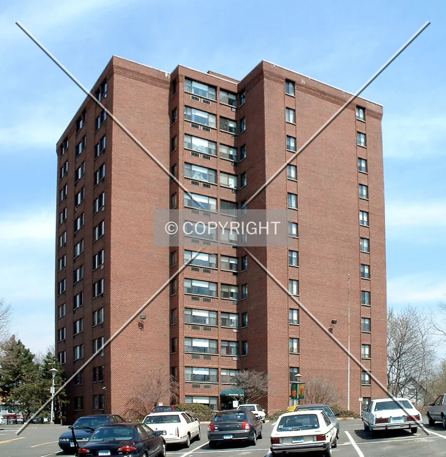 View from the west