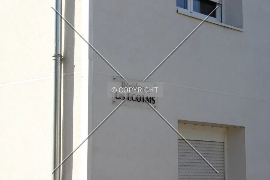 Photo 989-120-101