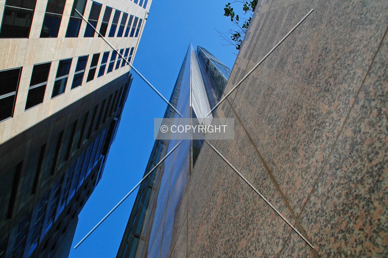 Looking up from Reiby Place